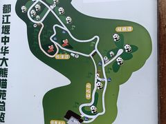 -都江堰中华大熊猫苑