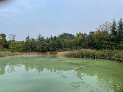 -白鹭湾湿地公园