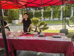 -厦门宝龙铂尔曼大酒店·龙之渊中餐厅