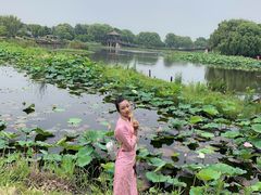 -荷塘月色湿地公园·向阳花洲