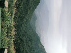 -不厌亭