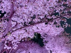 -西北湖绿化广场