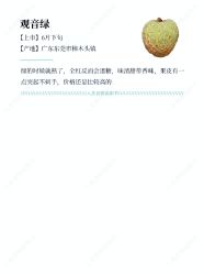 -Oasis Beauty水磨坊科技美肤中心
