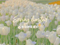 -大宁公园