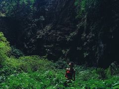 -缙云山景区