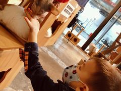 -more than meow吴止猫主题餐厅(承德 中船汇店)