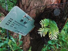 -北京植物园-展览温室