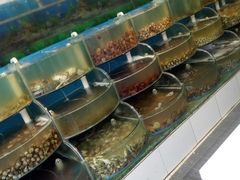-同道蒸汽海鲜烧烤自助(刘庄夜市店)