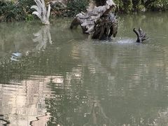 -汇龙潭