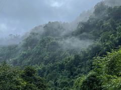 -沐川竹海旅游景区