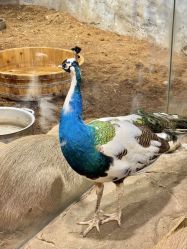 -Zoolung Zoolung动物主题公园(海信广场店)