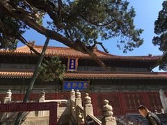 -北京国子监胡同