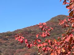 -周口店坡峰岭风景区