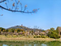 -梅林春晓花园餐厅