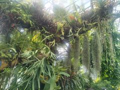 -国家植物园南园