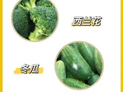 -Fundi张玉珊修身堂·indiba·BTL科技瘦身