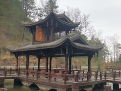 -镇龙山国家森林公园