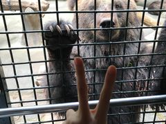 -深圳野生动物园