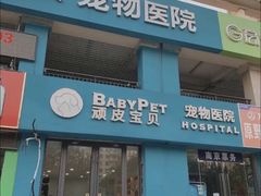 -艾贝尔宠物医院·狂犬免疫点(江山金象城店)