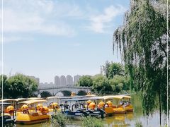 -洋湖国家湿地公园
