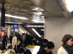 -涩谷区