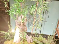 -绿茶餐厅(淮安吾悦广场店)