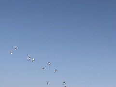 -华彬猛犸滑雪场