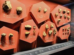 -广西壮族自治区博物馆