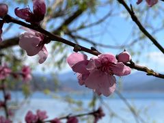 -丽江泸沽湖景区