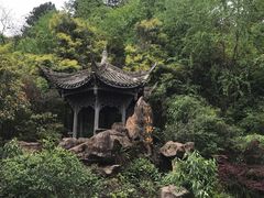 -凤栖山