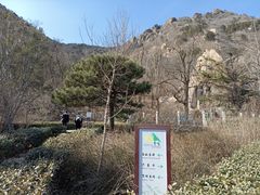 -北京鹫峰国家森林公园