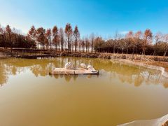 -宁波杭州湾国家湿地公园