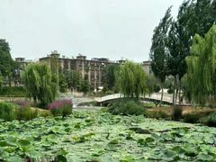 -前关湿地公园