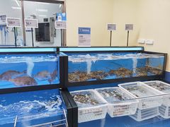 -盒马X会员店(王府井奥莱UP TOWN店)