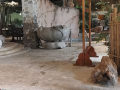 -泉城欧乐堡戏水湾艺术养生温泉