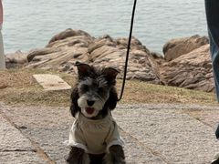 -青岛海滨风景区