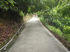 -大屏嶂森林公园