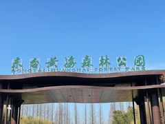 -黄海国家森林公园