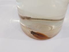 -兰湘子·湘菜小炒(长安万科广场店)