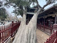 -晋祠公园