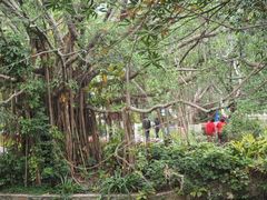 -人民公园(罗湖区)