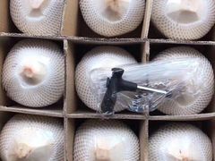 -双福水果批发市场