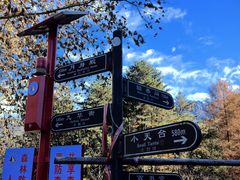 -九华山风景区月身宝殿