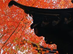 -桂林公园(地铁站)