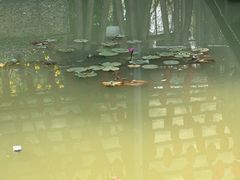 -揭东万竹园旅游景区