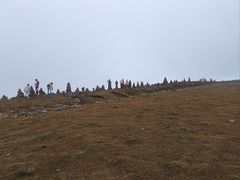 -芦芽山旅游度假区