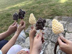 -五营红松林海景区