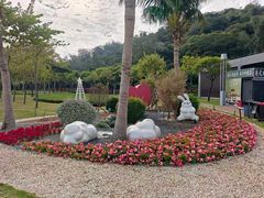 -野狸岛