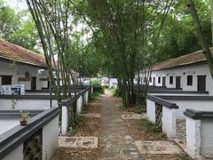 -老木棉·匠园