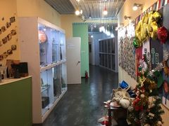 -JOJO实景沉浸侦探剧本杀(大悦城店)